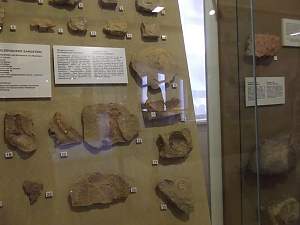 Besuch der Rasenden Kinder-Kultur-Reporter im Sandsteinmuseum Bad Bentheim// Copyright: abz GmbH