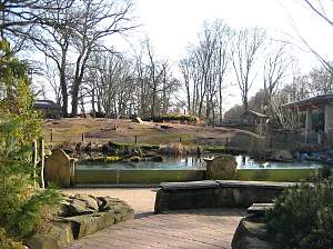 Besuch der Rasenden Kinder Kultur Reporter im Tierpark / Copyright: abz GmbH