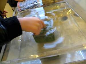 Der Sandstein wird nass gemacht. // Besuch der Rasenden Kinder Kultur Reporter beim Sandsteinmuseum/ Copyright: abz GmbH